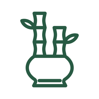 Plant Pots